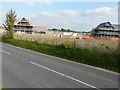 Redevelopment of the former Hammill Brick Works