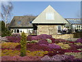 Bed of heathers outside the reception building at Harlow Carr