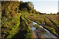 The Severn Way at Severn Stoke