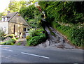 Steep side road, Burleigh