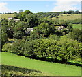 Hillside houses near Burleigh