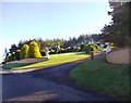 Grounds of a  new villa in Ingliston Wood