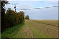 Bridleway heading North towards Dalton