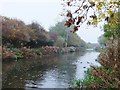 Beverley Beck, Beverley, Yorkshire