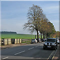 Newmarket: Old Station Road