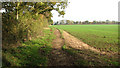 Footpath near Airfield Farm