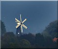 A distant view of Waltham windmill