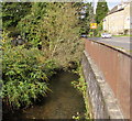 Nailsworth Stream,  North Woodchester