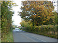 Road from Earls Colne to Bures