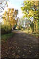 Footpath to Warrington House on the road to Warrington House Farm