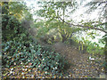 Path at the end of Chipstead Road, Banstead