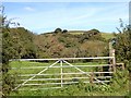 Gate and overgrown stile, Old Barnstaple Road