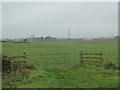 Gate leading onto Broadclyst Moor