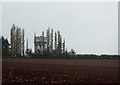 SX9896 : Water tower at Broadclyst by Rod Allday