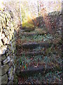 Footpath - Farley Crescent