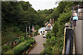 Shanklin Chine from the Chine Inn, Shanklin