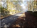 Cure Hill - viewed from near Farley Crescent