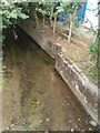 Tamerton Foliot stream