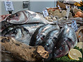 Fish, Borough Market, London SE1