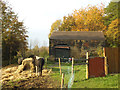 Horses and barn at Scott Hall Farm