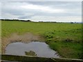 Field east of Stoke Rivers