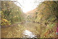 Bend on the Afon Teifi