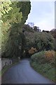 Road beside the churchyard, Nevern