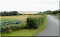 Lane south-west of Llanon, Ceredigion