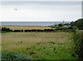 Rough pasture south-east of Llanon, Ceredigion