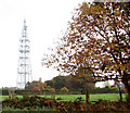 Communications mast in Upper Stoke