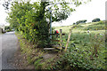 Coastal path off Luccombe Road, Shanklin