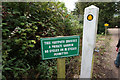 Coastal path at Luccombe Village