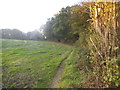 Path from Green Lane to Chipstead Lane