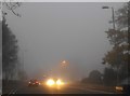 TQ1866 : Fog on Ewell Road, Surbiton by David Howard