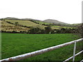 Strongly geometrical field pattern on drumlins on the west side of Dunturk Road