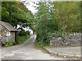 Track to cottages at Holewater