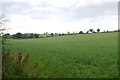 View Across a field of Grass to Brinscombe Cottage