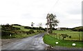 View NNW along Carnreagh Road