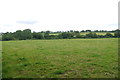 Pasture Field Above Old Twist