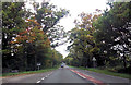 A36 at entrance to Bricky Lake Lane