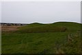 Mounds on the moor