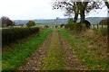 Track to Laigh Netherfield