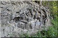 Tree roots and sandstone