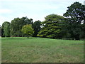 Grazing, Aspley Guise