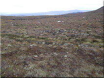 NH2519 : Bog on Carn a' Choire Ghlais in Guisachan Forest by ian shiell