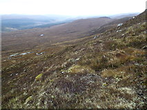 NH2619 : North side of Carn a' Choire Leith in Guisachan Forest by ian shiell