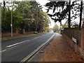 TM1645 : Henley Road, Castle Hill, Ipswich by Geographer