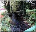 Nailsworth Stream, Woodchester