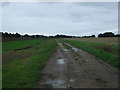 Farm track (bridleway) off the B1119