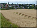 Farmland near the village of Blisworth